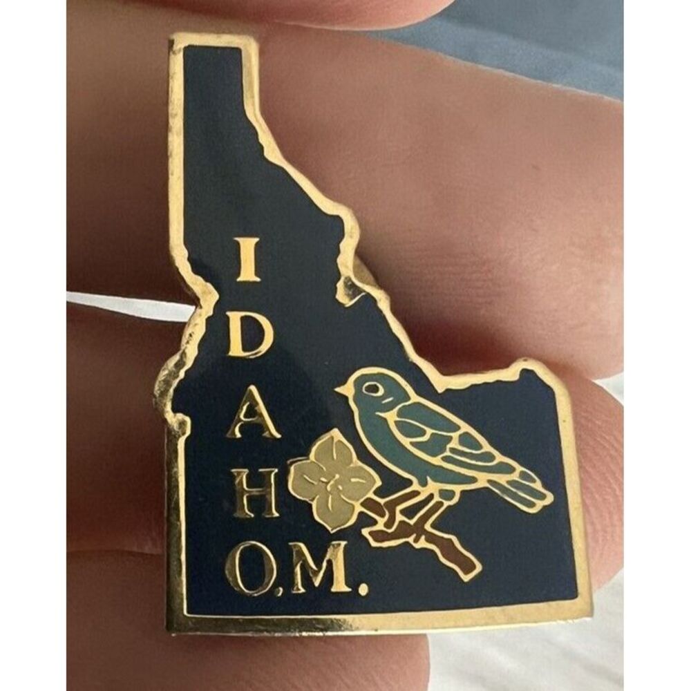 Vintage Odyssey of the Mind Idaho Hat Lapel Vest Souvenir Pin